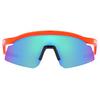 Lunettes de soleil Hydra Prizm