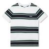 Junior Boys   8-16  Striped T-Shirt