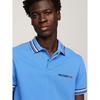 Men s Regular Fit Stripe Tipped Polo