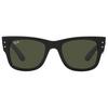 Mega Wayfarer Sunglasses