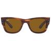 Mega Wayfarer Sunglasses