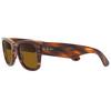 Mega Wayfarer Sunglasses