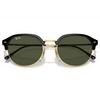 RB4429 Sunglasses
