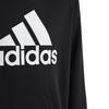 Juniors   8-16  Big Logo Essentials Hoodie