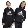 Juniors   8-16  Big Logo Essentials Hoodie