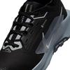 Men s Pegasus Trail 5 GTX Trail Running Shoe