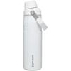 Bouteille IceFlow AeroLight FastFlow  24 oz - Polaire 