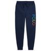 Junior Boys   8-20  Ombre-Logo Double-Knit Jogger Pant