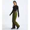 Women s Ceptor Bib Pant