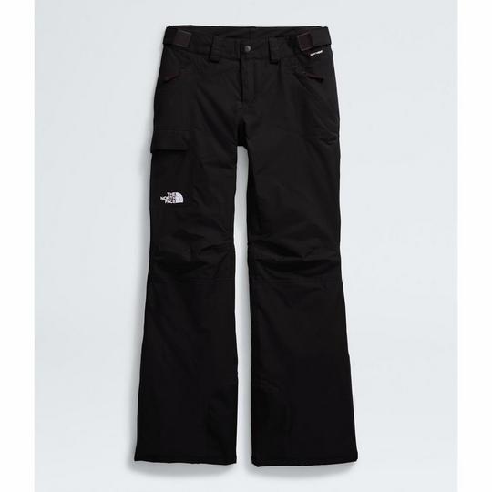 Women s Freedom Insulated Pant The North Face Sporting Life Online