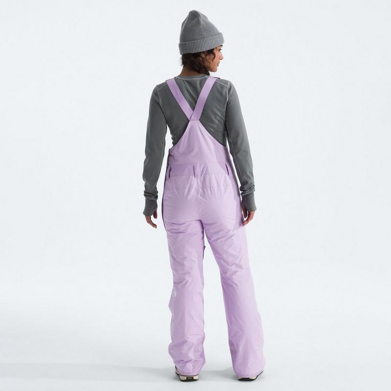 The North Face Women's Freedom Insulated Bib Pant