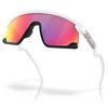 BXTR Prizm  Sunglasses