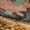 TNF Black / TNF Camo / Utility Brown | Chapeau trappeur Shasta pour juniors [7-20]