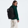 Borealis Backpack