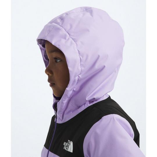 Kids' [2-7] Freedom Insulated Jacket | The North Face | Sporting