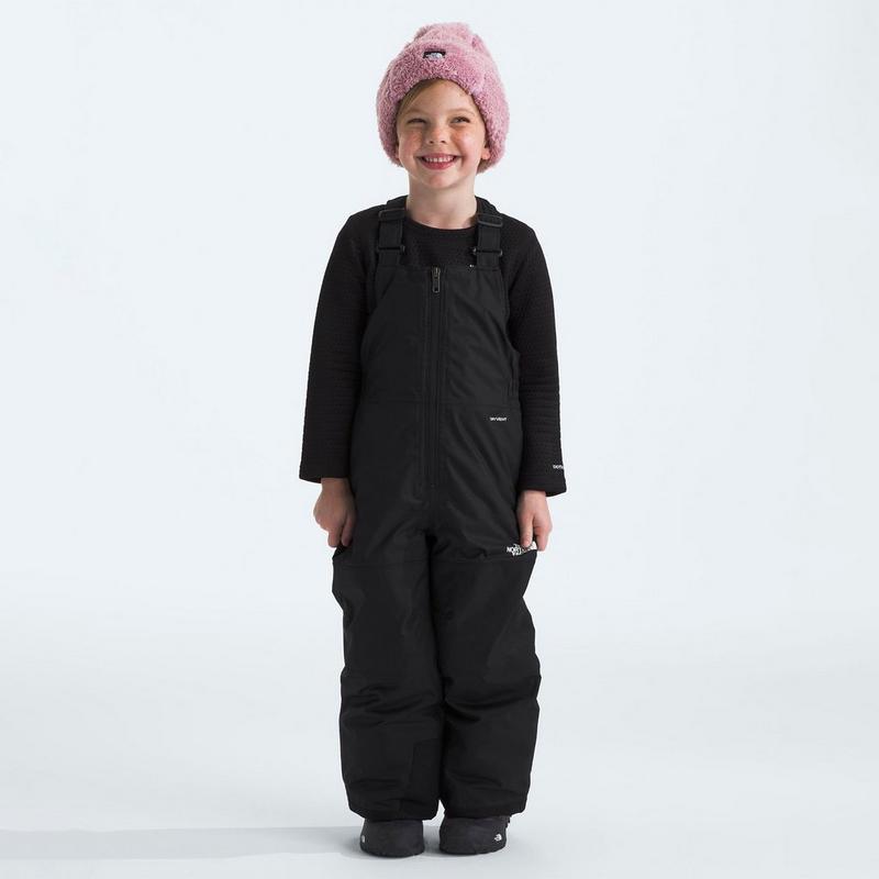 The North Face Kids' [2-7] Freedom Insulated Bib Pant