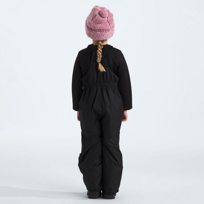 The North Face Kids' [2-7] Freedom Insulated Bib Pant