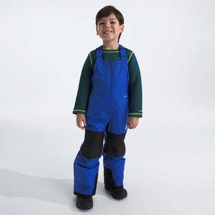 The North Face Kids' [2-7] Freedom Insulated Bib Pant