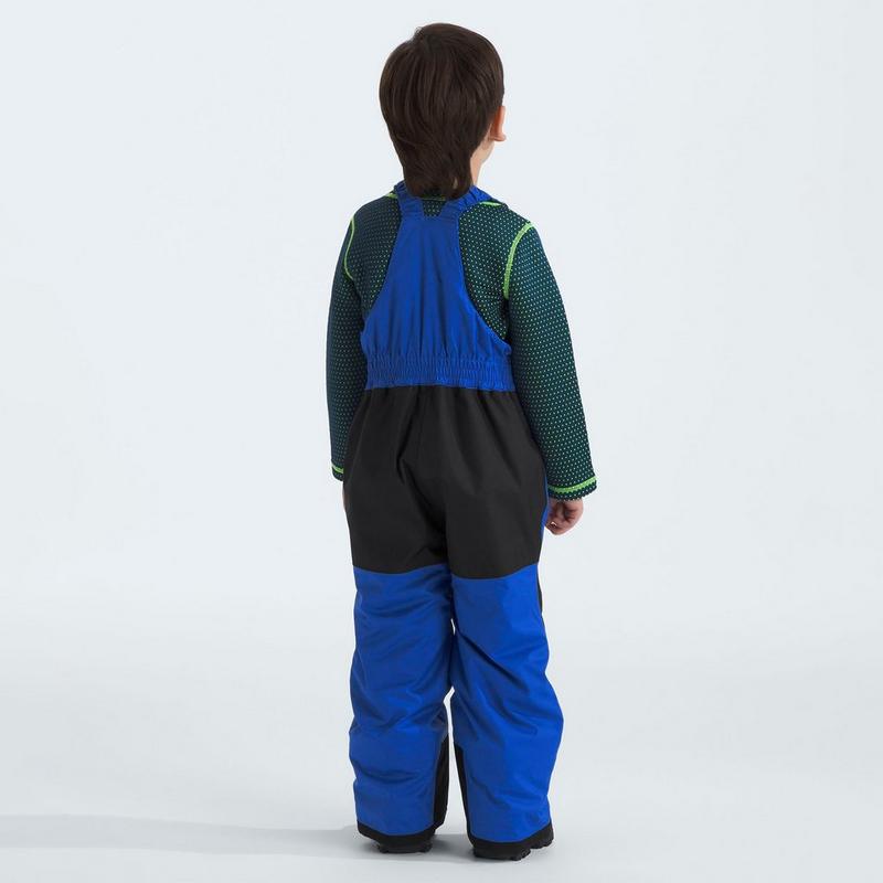 The North Face Kids' [2-7] Freedom Insulated Bib Pant