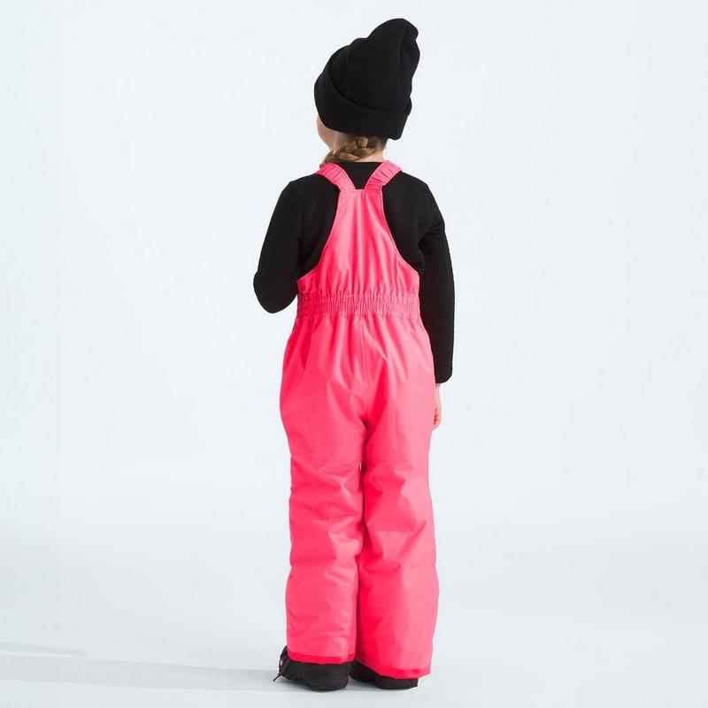 The North Face Kids' [2-7] Freedom Insulated Bib Pant