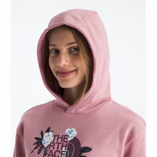 North face fleece pullover hoodie 2025