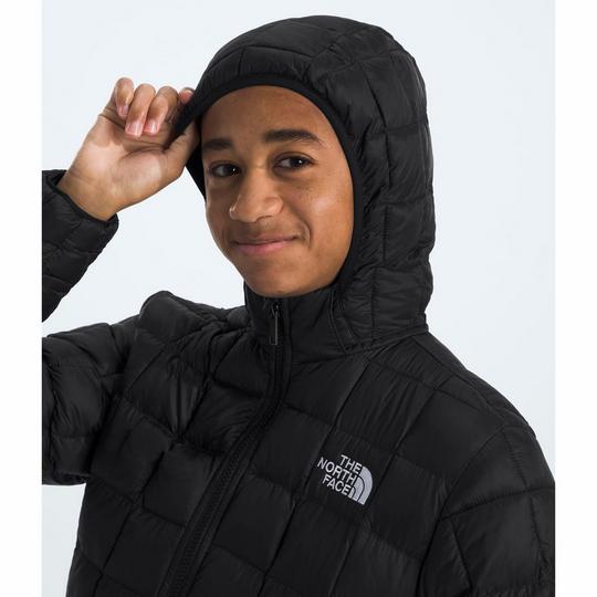 Nike thermoball jacket sale