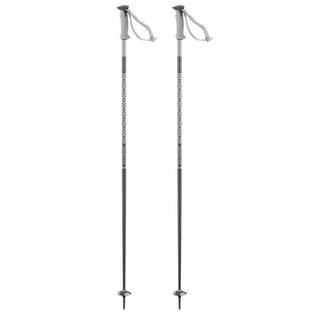 Salomon Polar Ski Pole [2025]