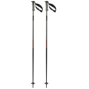 Salomon Polar Pro S3 Ski Pole [2025]