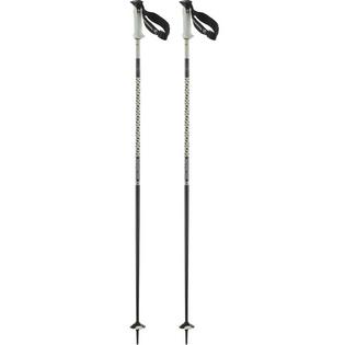 Polar Pro S3 Ski Pole [2025]