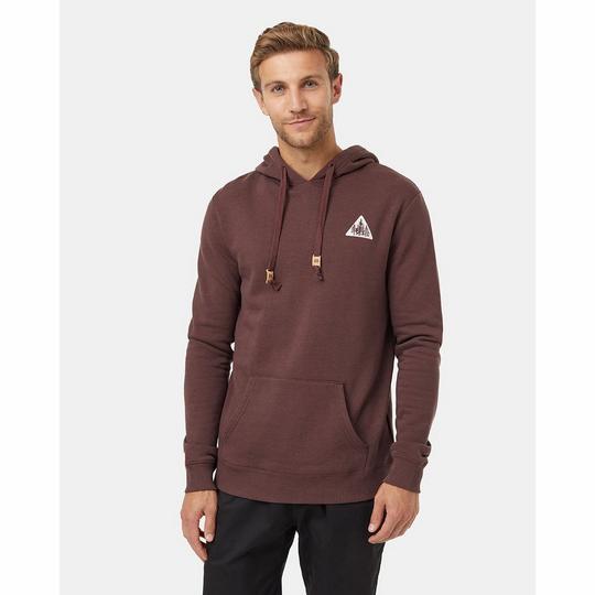 Tentree Chandail   capuchon Pine Trio pour hommes