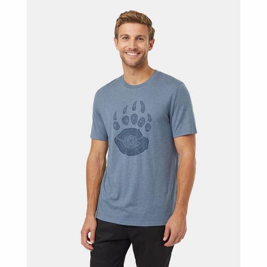 Tentree T-shirt Bear Claw pour hommes