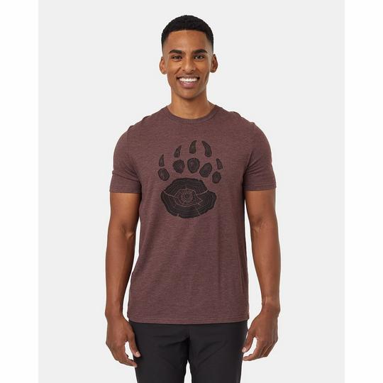 Tentree Men s Bear Claw T-Shirt