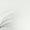 White | Women's Shimmer Bug 1/2-Zip Top