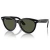 Wayfarer Way Sunglasses