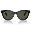 Wayfarer Way Sunglasses