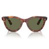 Wayfarer Way Polarized Sunglasses