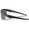 BiSphaera  Prizm  Polarized Sunglasses