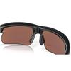 BiSphaera  Prizm  Polarized Sunglasses