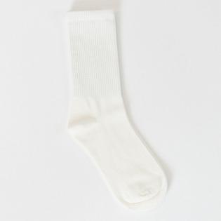  Women's Basic Ribbed Sock