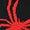 Volcano | Men's Arachnid Hat