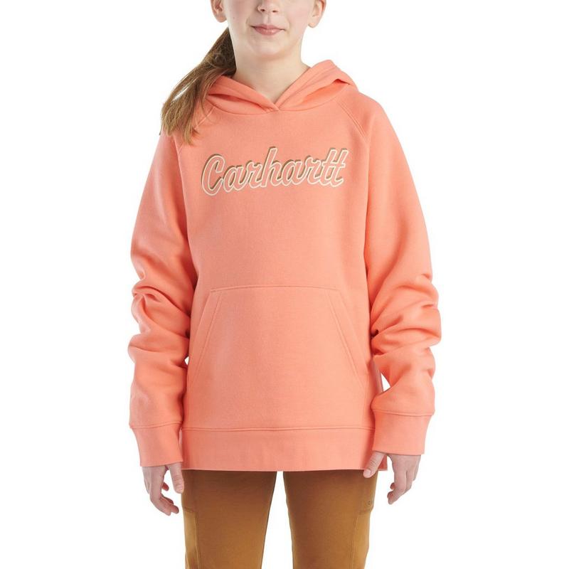 Carhartt Chandail en molleton &agrave; capuchon avec logo pour gar&ccedil;ons [8-16]