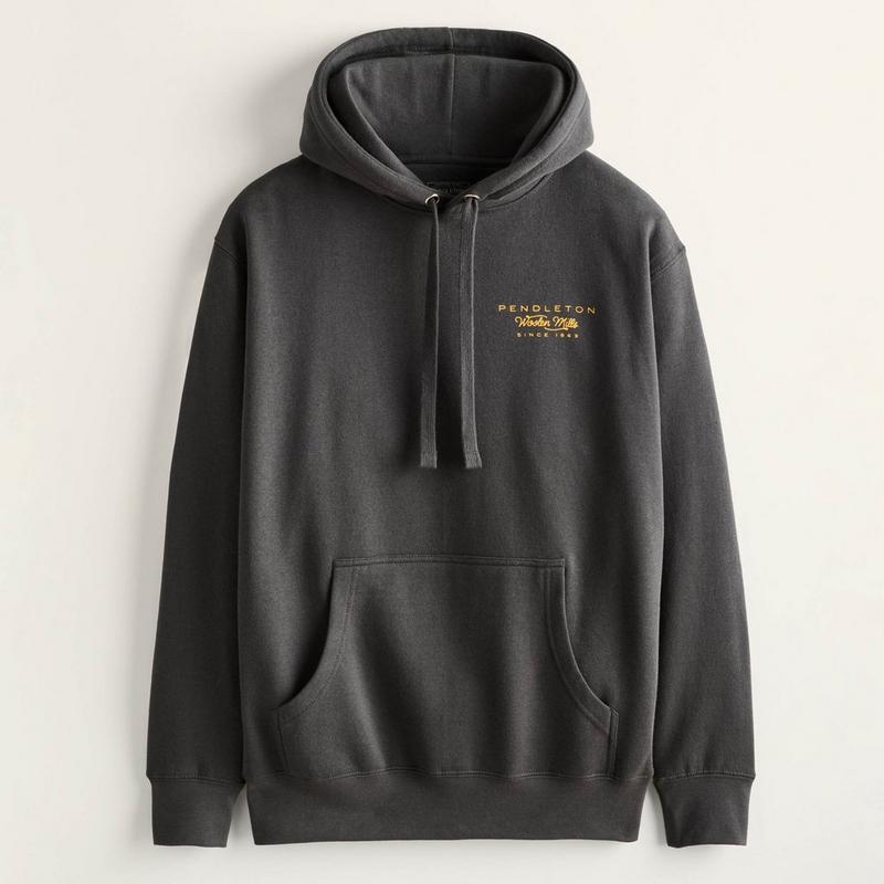 Pendleton Chandail &agrave; capuchon graphique Mountain pour hommes