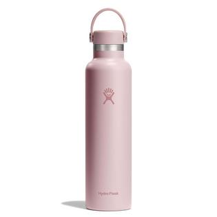 Hydro Flask Standard Mouth Insulated Bottle (24 oz)