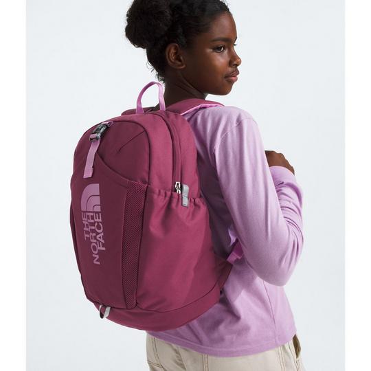 【SALE】THE NORTH FACE ミニリーコンバックパック The North Face Kids' Mini Recon 18L Backpack | SportChek