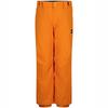 Pantalon de neige Estate pour gar ons juniors  8-16 