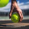 Pro S1 Pickleball  12 Pack 