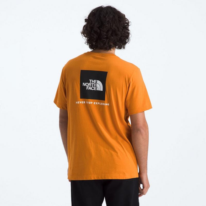 The North Face Men's Core Box NSE Short Sleeve T-Shirt