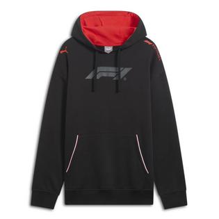 Men's F1 ESS+ Relaxed Hoodie