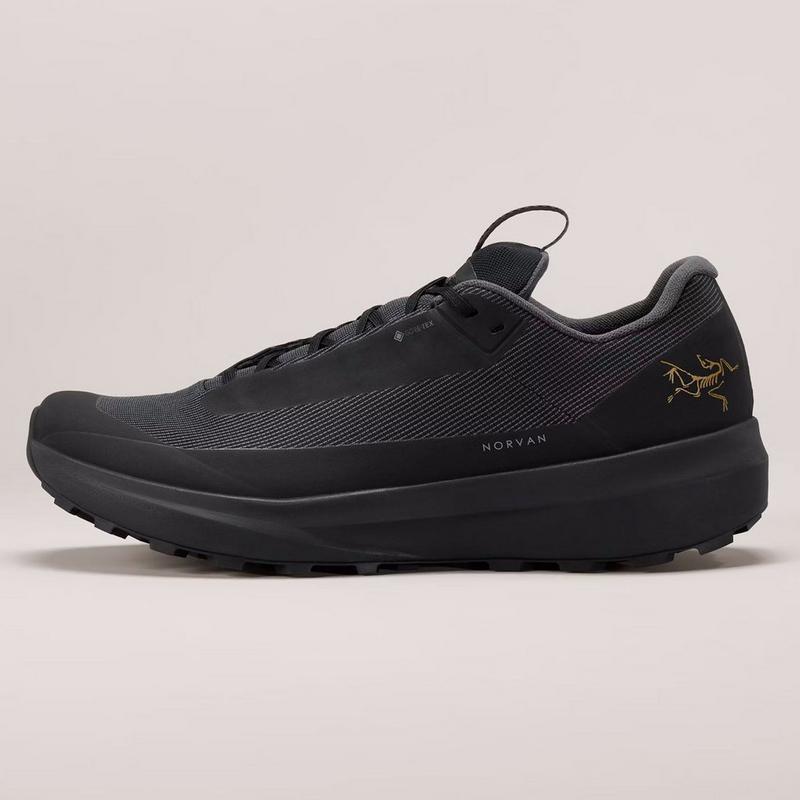 Arc'teryx Chaussures de course sur sentier Norvan LD 4 GTX pour femmes