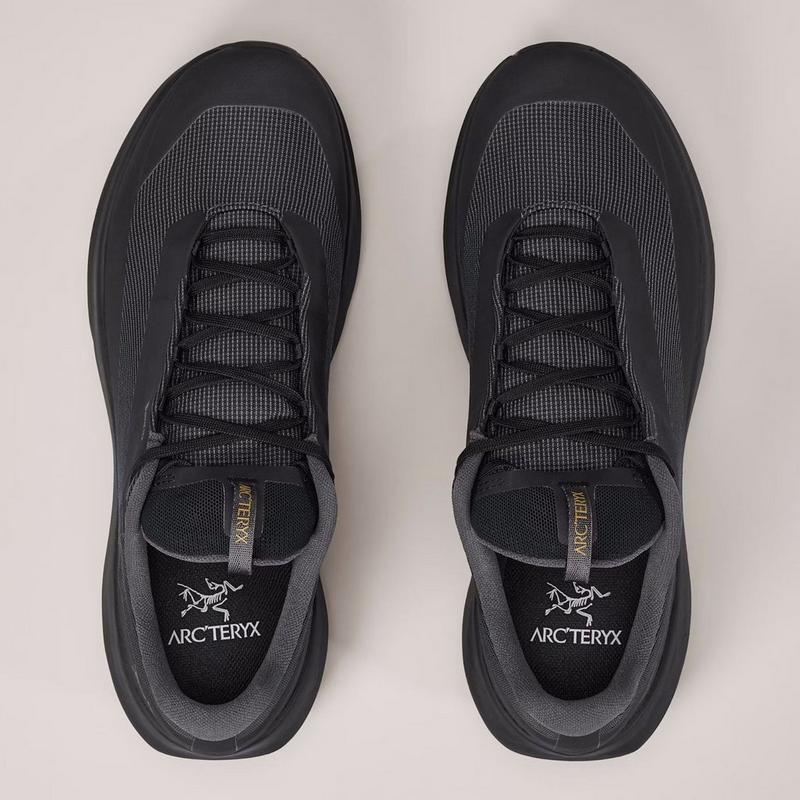 Arc'teryx Chaussures de course sur sentier Norvan LD 4 GTX pour femmes